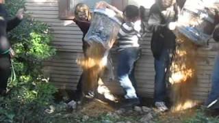 APO Delta Pi NC2010