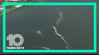 Scientists getting closer to testing red tide mitigation technologies in Sarasota Bay