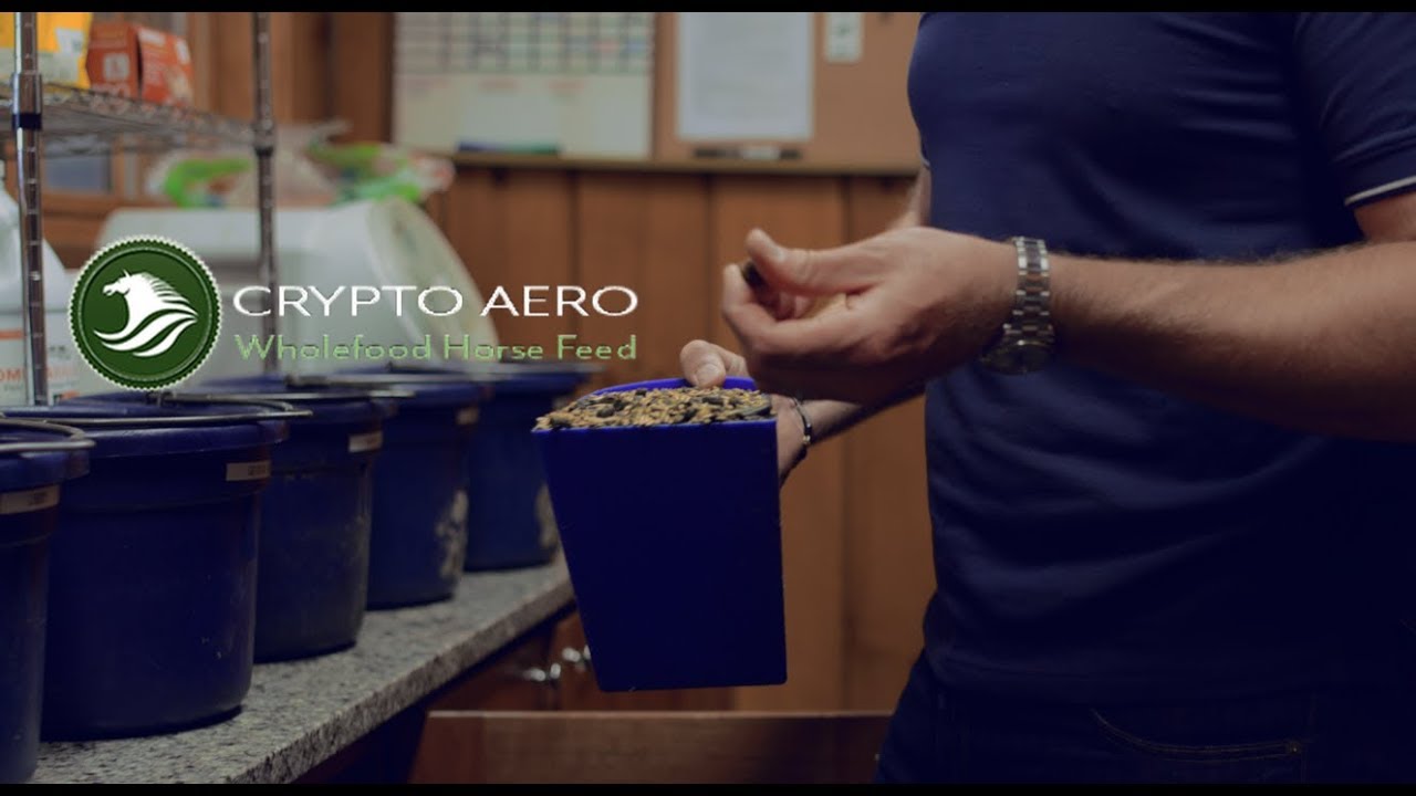 Feeding Sport Horses with Quentin Judge