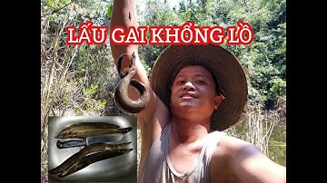 CÂU CÁ KÝ SỰ | Tập 2: Những pha lên cá chạch lấu khủng // fishing record | NHỊP SỐNG MIỀN TRUNG