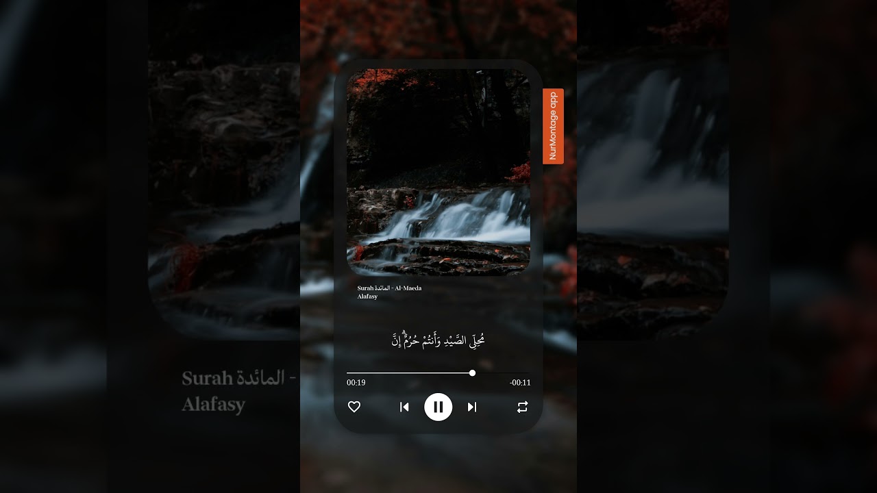 سورة المائدة الآية 1 بصوت مشاري العفاسي