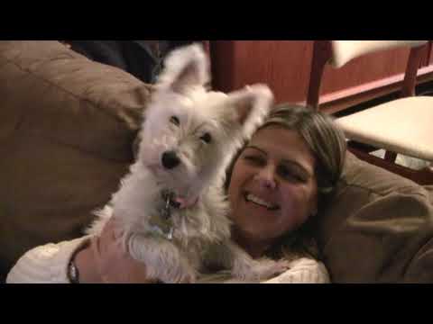 Elisa Goldman's Dog Lucy with sister Dr. Jessica W...