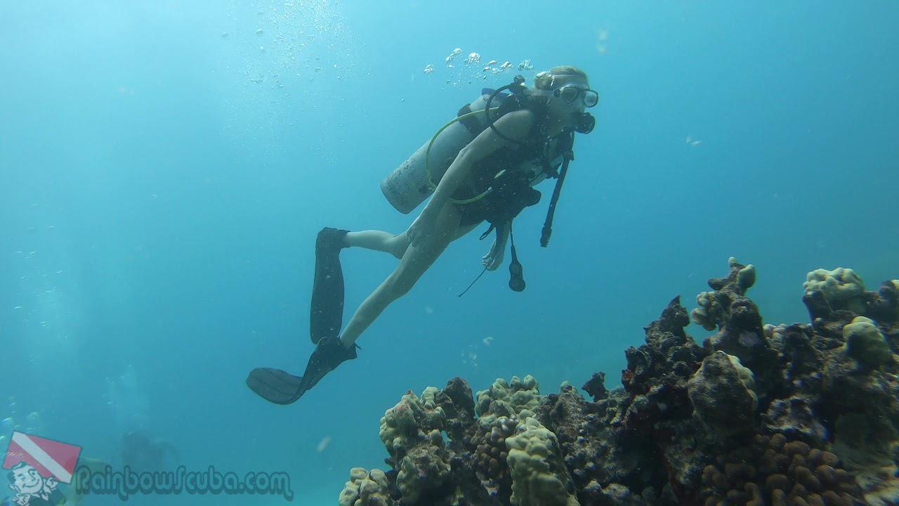 Beginner Scuba Diving Honolulu Hawaii 09172019 YouTube