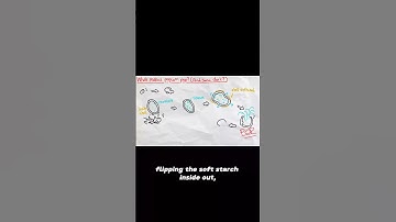 What Makes Popcorn Kernels Pop (And Some Don’t)? || Zeleon Answers Ep. 6