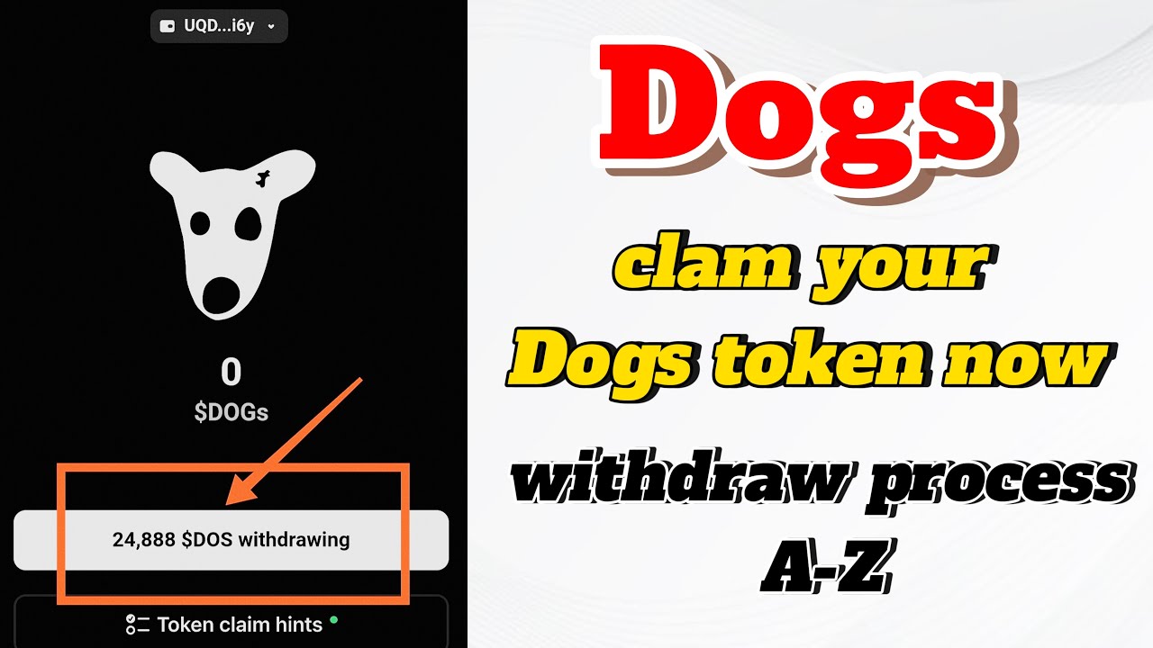 Clam Dogs now how to withdraw Dogs to bybit withdraw Dogs on bybit