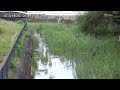 【落合川】毘沙門橋映像監視局［東久留米市南沢3］