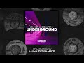 Lujan fernandez luifer  underground original mix tech house mix  club xumba recordings