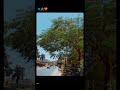 مبقولش قلبك باعني ليه مابقولش ليه خدعتني حالات واتساب 