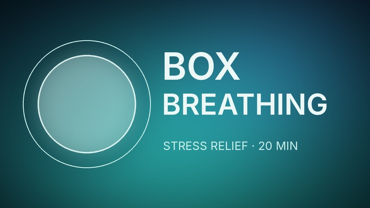 Box Breathing 4-4-4-4 · 20 Minute Guided Session | Follow the Circle ...