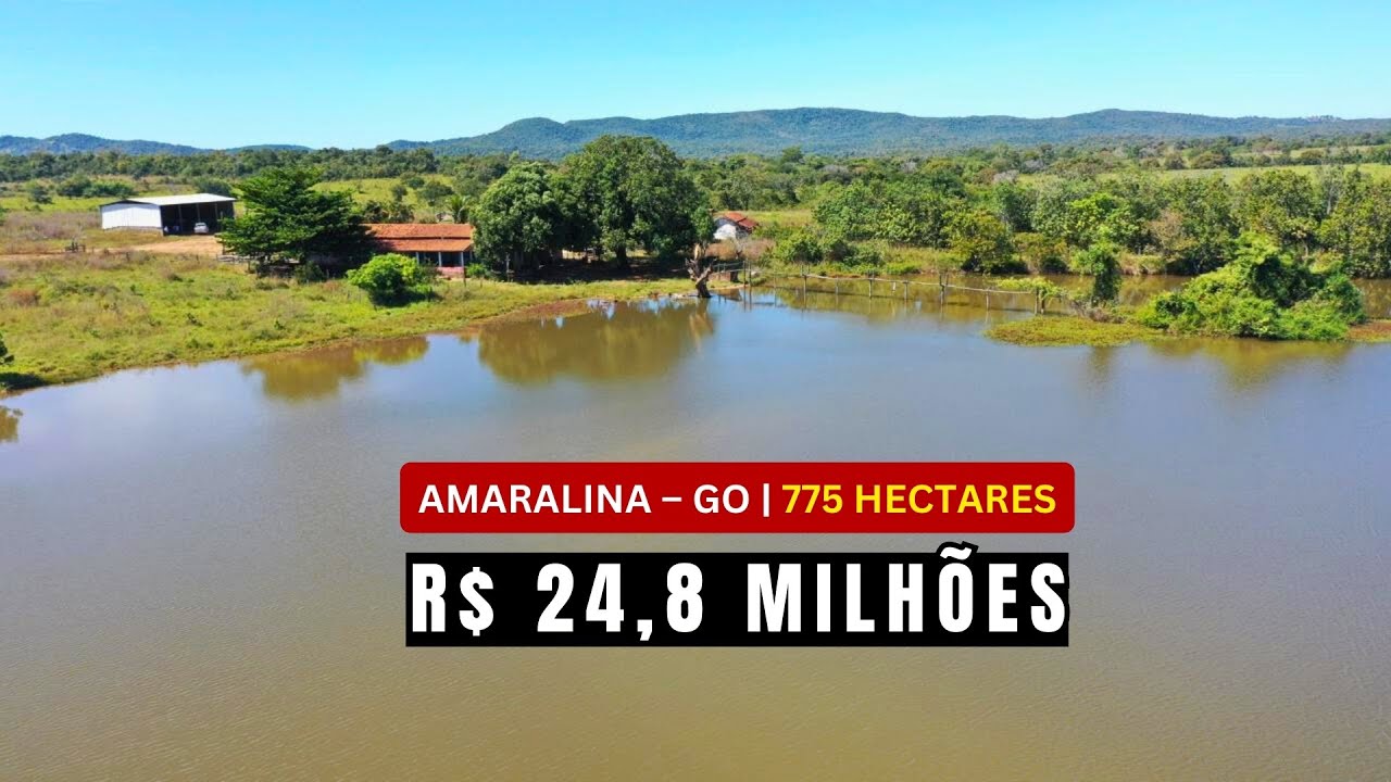 Fazenda à venda em Amaralina no Goiás, 775 ha, estrutura completa. Ativo pronto por R$ 24,8 Milhões