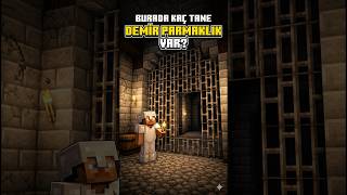 Burada Kaç Tane Demir Parmaklık Var Kral  ?🙃  #youtubeshorts #minecraft #gaming #shorts #youtube