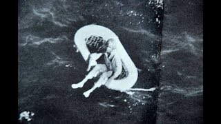 This Little Girl Was Found Adrift At Sea. Decades Later She Revealed The Horrifying Truth