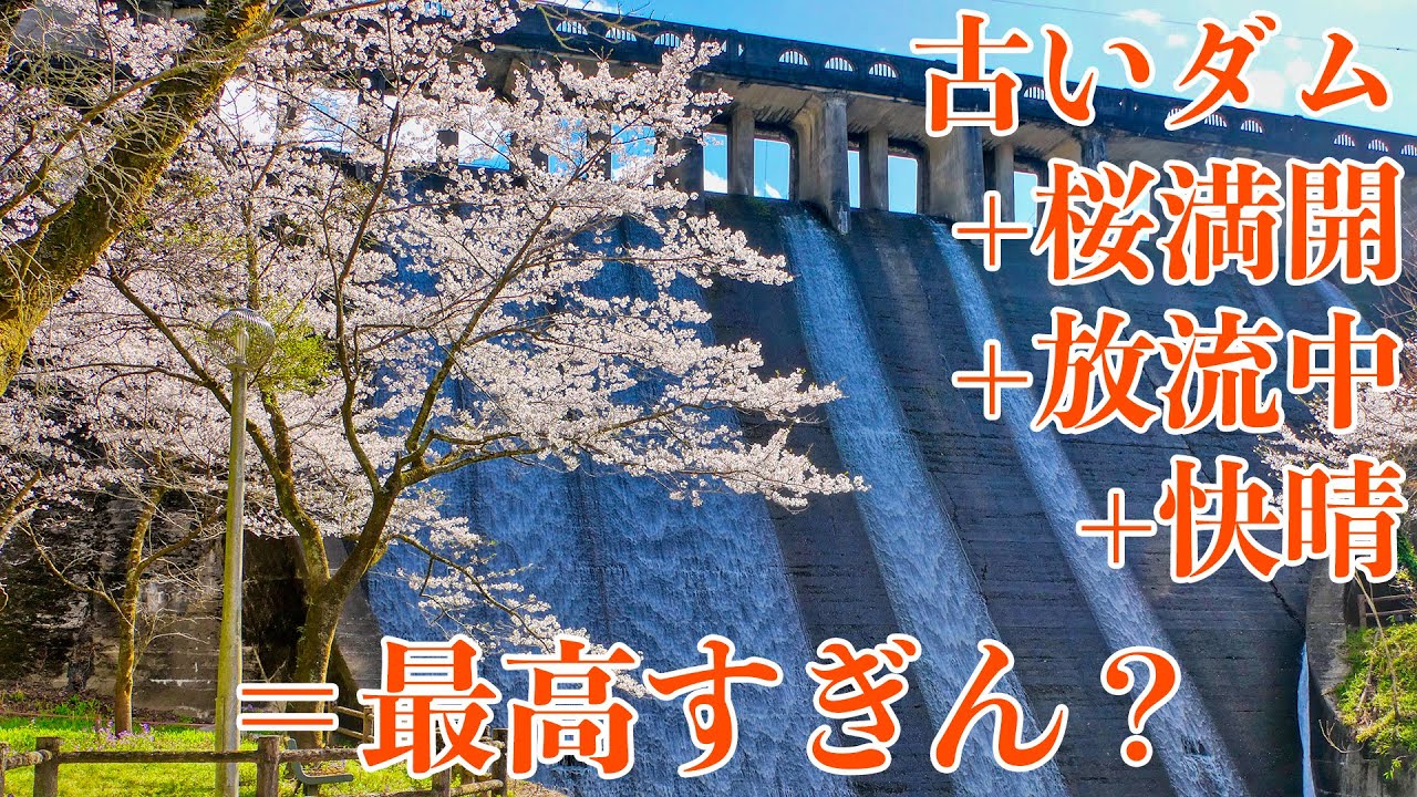 桜満開で放流中の歴史的堤体、間瀬ダムが美しすぎた！！【SiphonTV218】