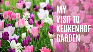 My visit in Keukenhof Garden