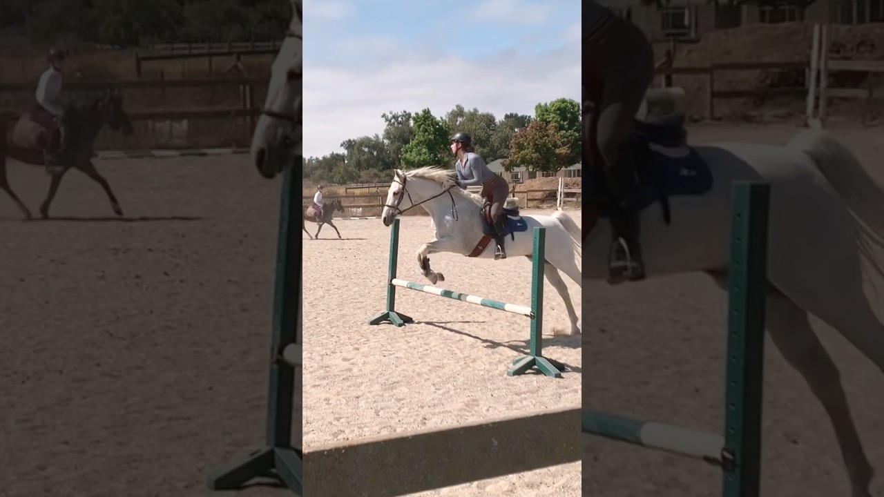 jumping roy!! he was so amazing 🤩 