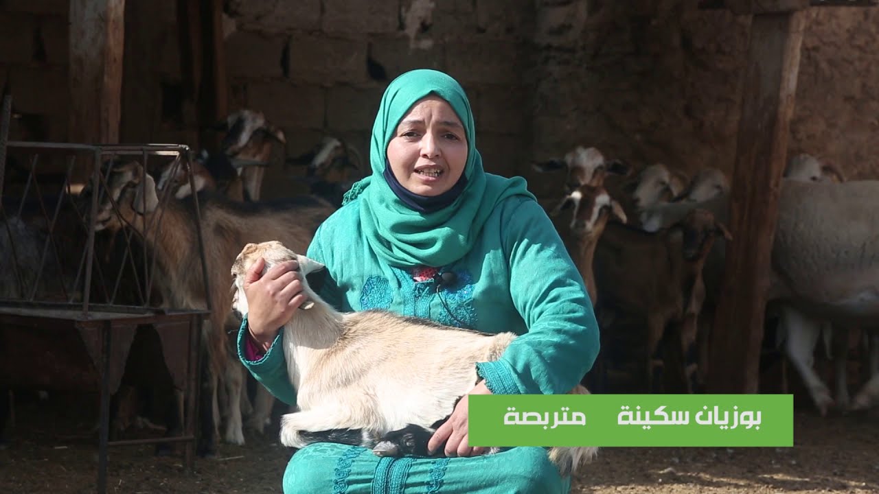 Formation à l'élevage caprin laitier et production artisanale de fromages
