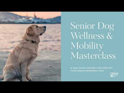 Senior Dog Wellness & Mobility Masterclass Introduction thumbnail