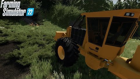FS22 | logging timelapse | Loggers Paradise #12 | another Tigercat