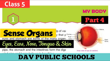DAV class 5 Science chapter 1 My Body - sense organs