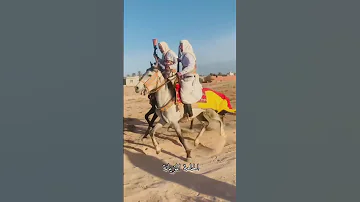 اجمل ما تسمع الشاب عماد مع عروض فروسية 