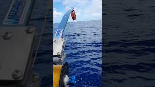 Carbon Fibre Flat Boom Electric Reel