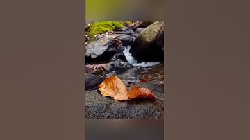 قرآن كريم بصوت ماهر عرار 💖 حالات واتس قرأن ☘ تلاوة خاشعة 🍃 Quran Status💙 اية قرانية قصيره🎧❤️