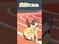 【戌神ころね】おすわりする ころさん #shorts