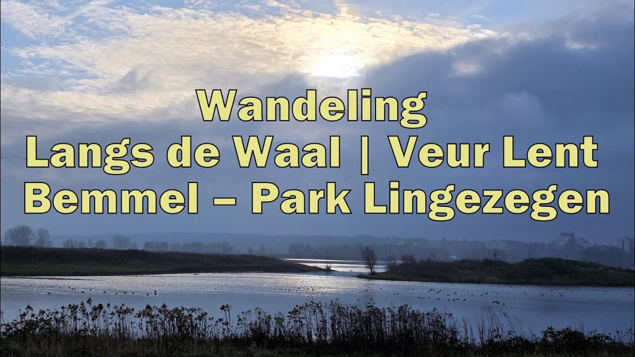 Wandeling Langs de Waal | Veur Lent – Bemmel – Park Lingezegen 🌿