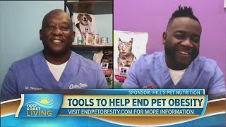 How to Help Manage & End Pet Obesity