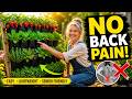 Stop Bending! Build a $10 Pallet Herb Garden (30 Plants, No Back Pain)