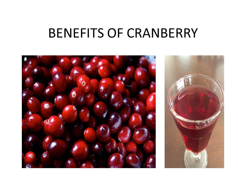 BENEFITS OF CRANBERRY FRUITS cranberries healthtips fruits 