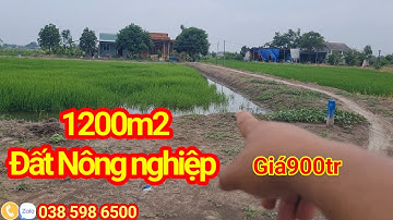 Bán 1200m2 Đất Nông nghiệp " Đất lúa " giá 900 triệu đường xe hơi xã Tân Ân cần đước Long An