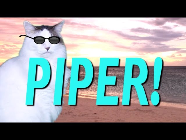 HAPPY BIRTHDAY PIPER! - EPIC CAT Happy Birthday Song