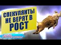 7 декабря | Утренний брифинг | Анализ и прогноз рынка FOREX, FORTS, ФР