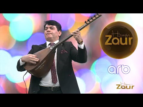 Fəzail Miskinlidən canlı saz ifası - Həmin Zaur