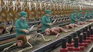 Inside The Monkey Meat To Nail Polish A Unique Transformation Process