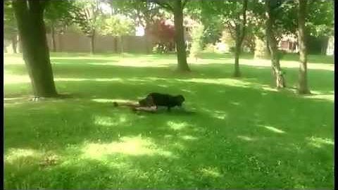 Spartan Race: Exercises for obstacle course training (Moving Spider Crawls)