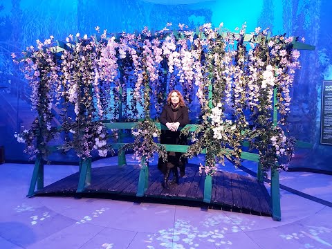 სახლების მმართველები ასტროლოგიაში