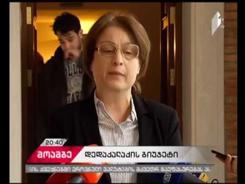 2017 წლის ბიუჯეტი  - რა შენიშვნები აქვს საკრებულოს უმცირესობას