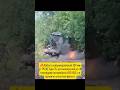 Работа северокорейской РСЗО Type 75 #новости #рсзо #оружиероссии #сво