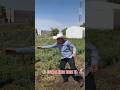 Al estilo @conjuntonuevoamanecer #rancho #agricultura #baile #campo #ranchos #tacatacata #cholula