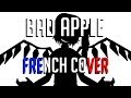 French Cover Bad Apple Touhou Project