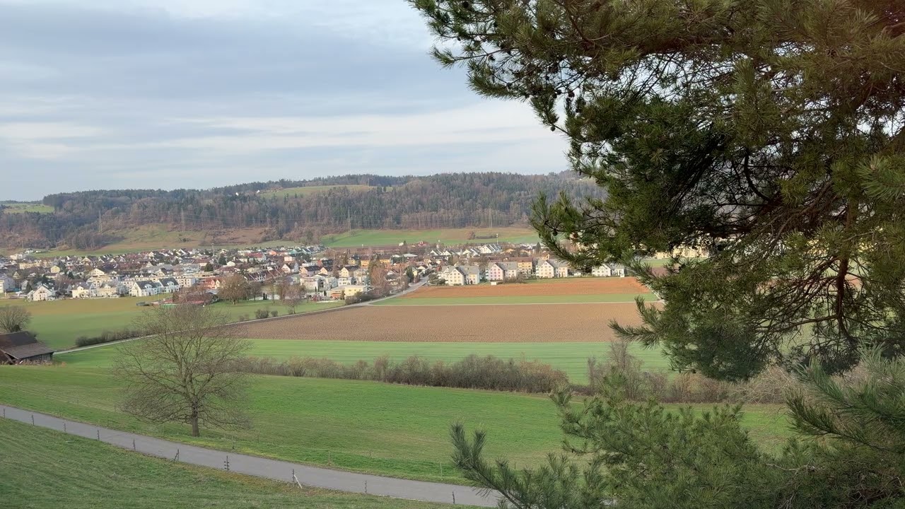 Behind the Window – Quiet Morning View | Switzerland