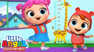 Baby John Sudah Besar | Kartun Anak | Little Angel Bahasa Indonesia