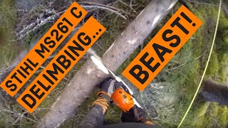 Stihl MS261C in the forest for the very first time