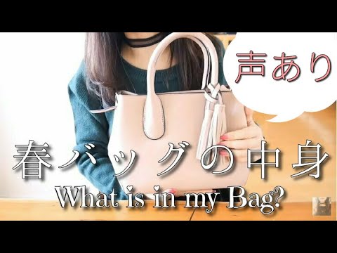 ASMR 声あり/バッグの中身紹介/Whispering/What's in my Bag?