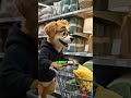 🥉 The IKEA Trick Everyone Falls For#viralvideo #usashorts #bussiness #ikea