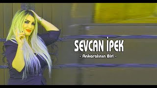 Sevcan İpek - Ankaralının Biri Resimi