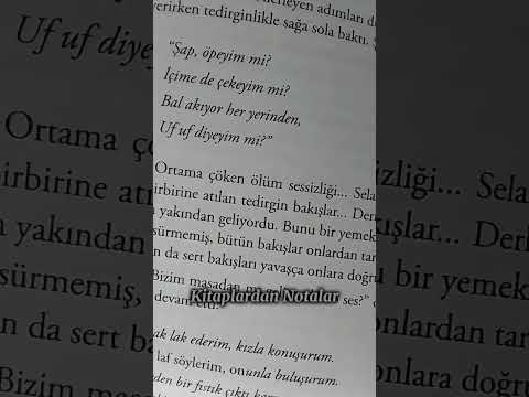 şap öpeyim mi #wattpad #gökçen #murathankarakurt #loresima #keşfetbeniöneçıkar #keşfet #yaralasar