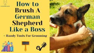 How To Brush A German Shepherd Like A Pro (+ Handy Tools For Grooming) screenshot 5